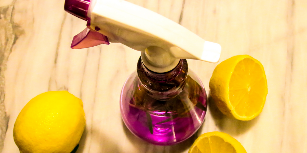 How to Make Your Own DIY Eco-Friendly and Zero-Waste Cleaners on a Budget