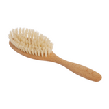 Hairbrush Vegan Dry Use Only