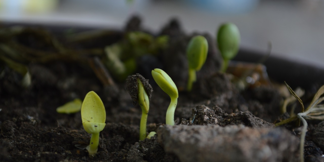 Composting and Greenhouse Gases