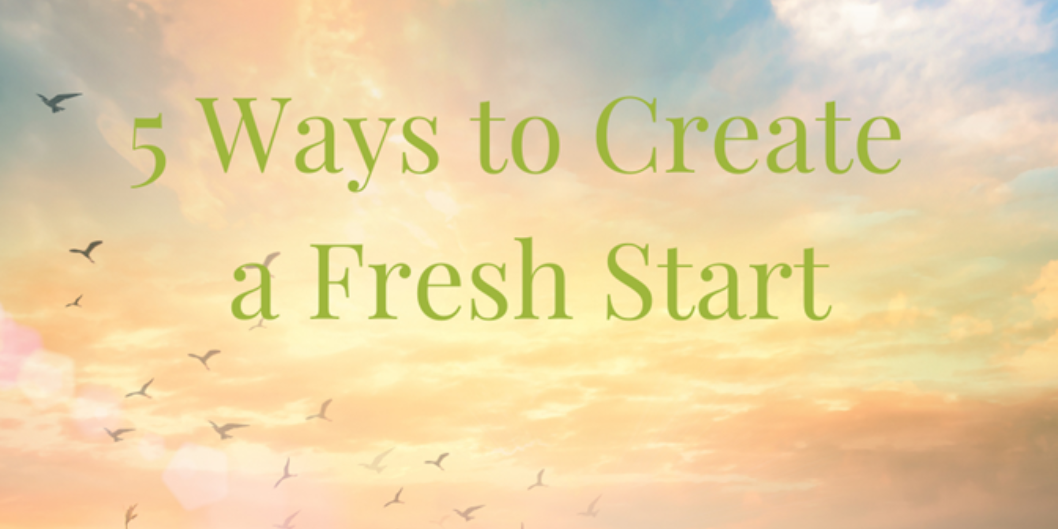 Creating A Fresh Start 5 Ways to Create a Fresh Start – PickEco Refills