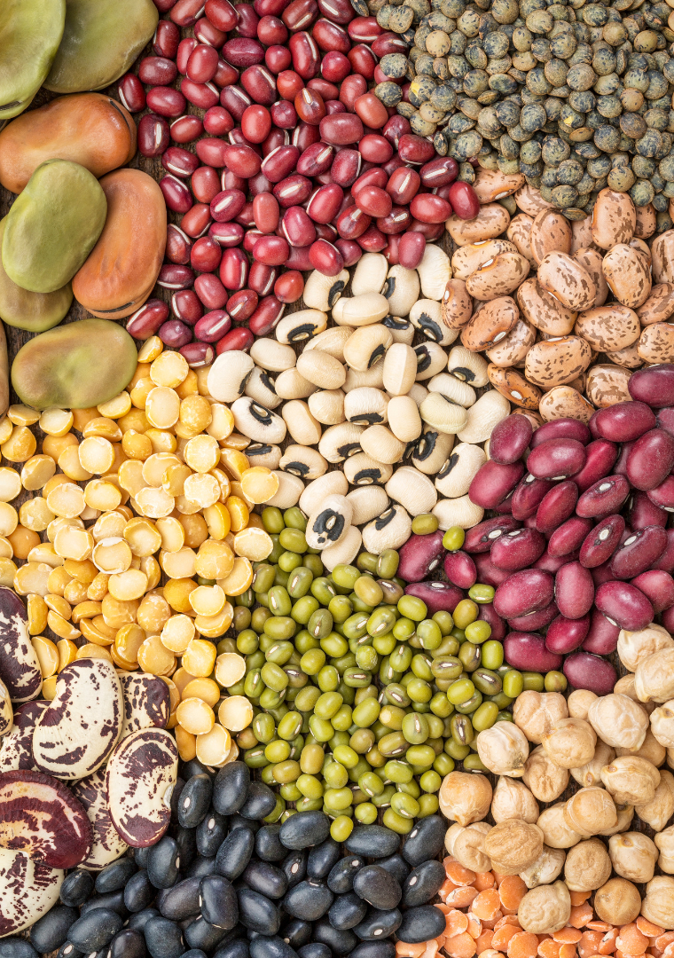 Lantis Bean Bulk Organic Lentils and Beans – PickEco Refills