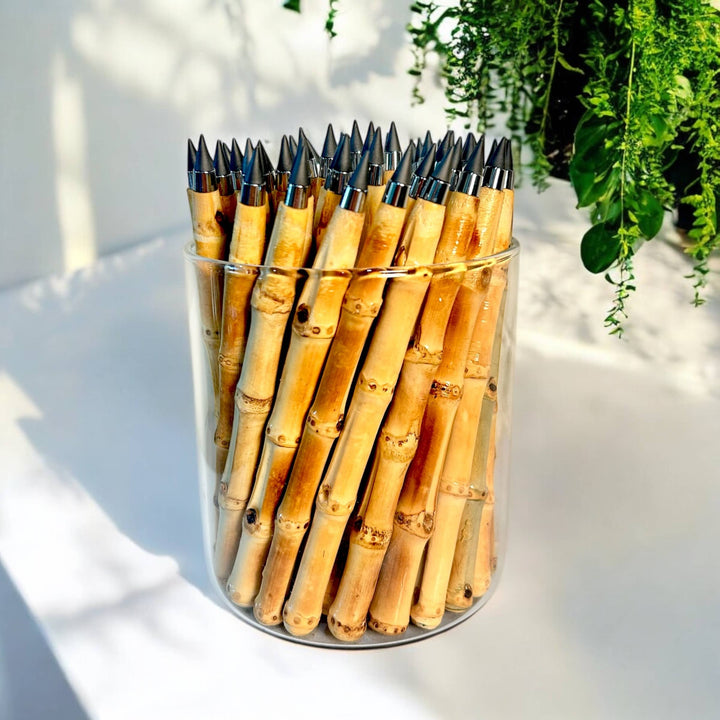 Bamboo Switch - Never Ending Bamboo Pencil Natural Root