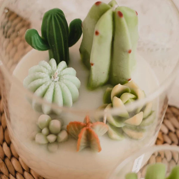 Zoet studio terrarium candle