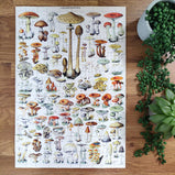 100 Piece Jigsaw - Vintage Mushrooms