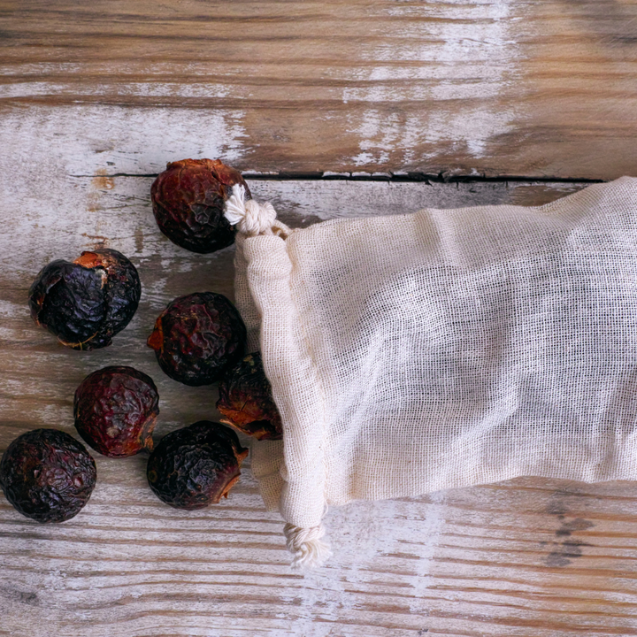 Soap Nuts
