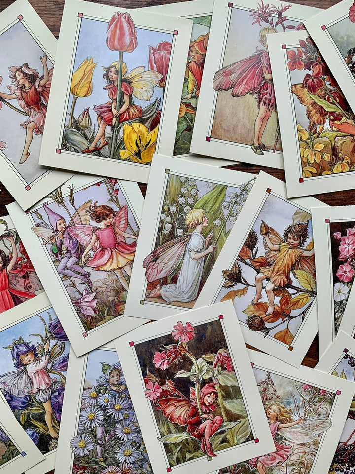 Magnifique Hearts - Flower Fairies Vintage Style Postcard