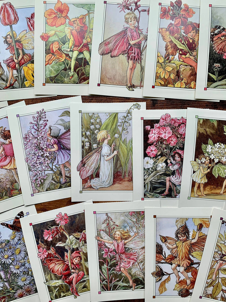 Magnifique Hearts - Flower Fairies Vintage Style Postcard