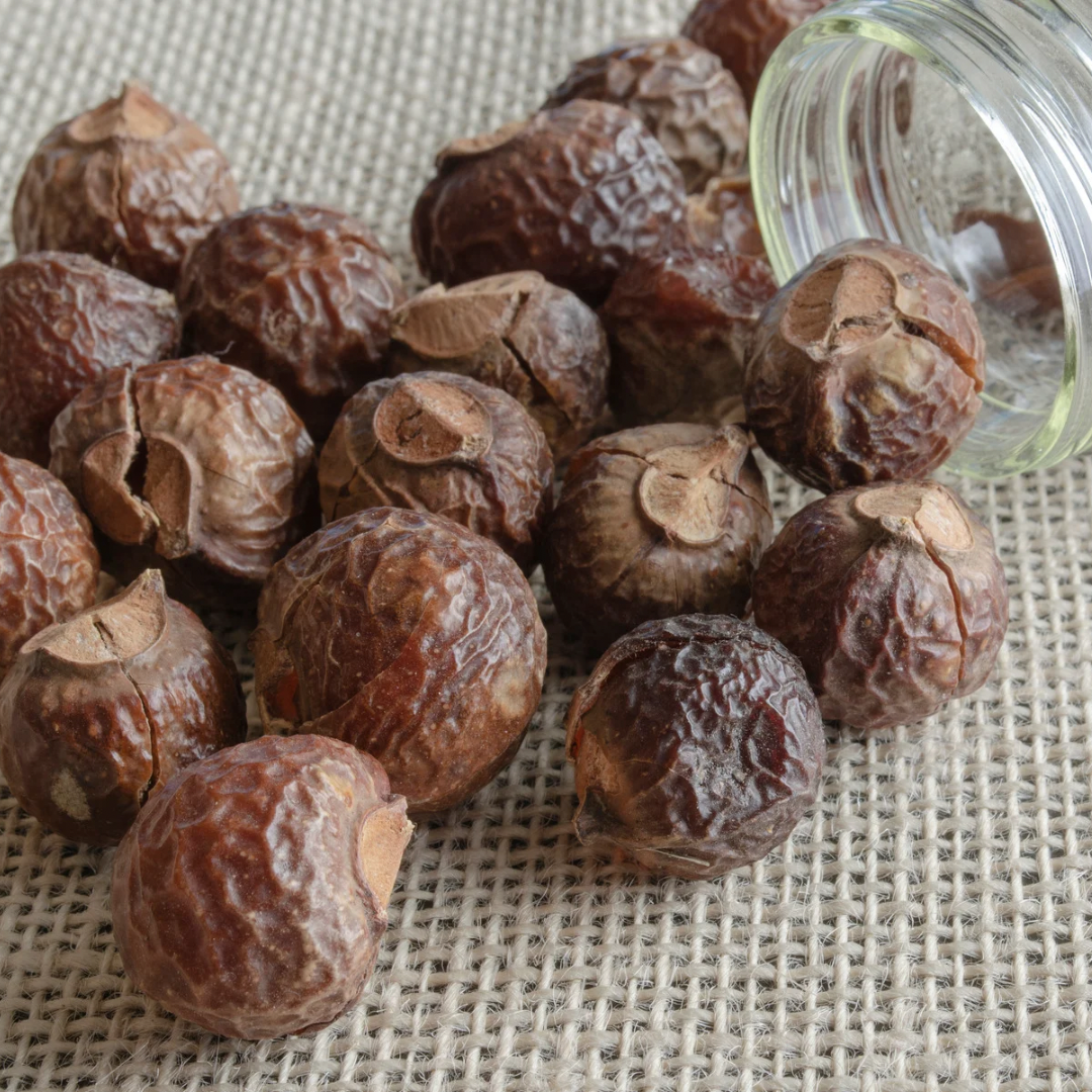 Soap Nuts