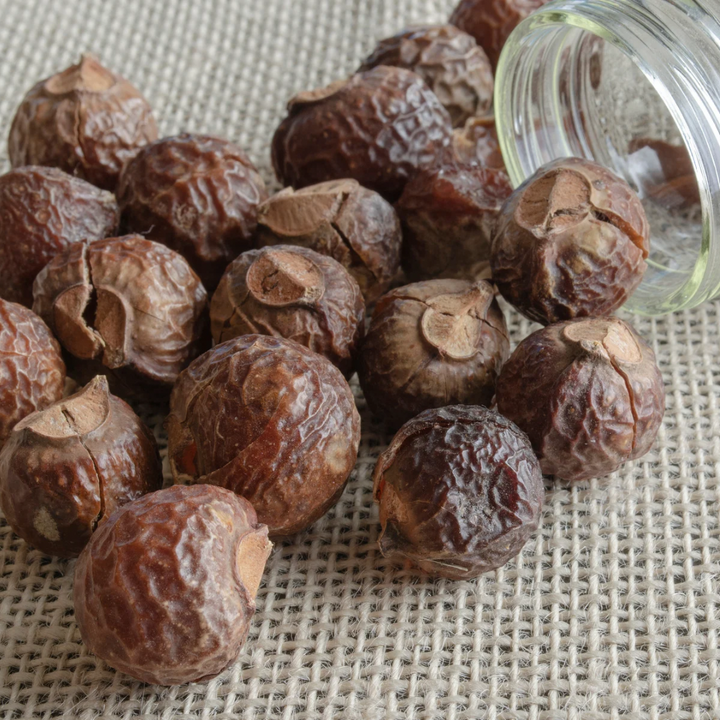 Soap Nuts