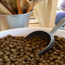Happy Tails Holistic Dog Food in a bowl with a scoop
