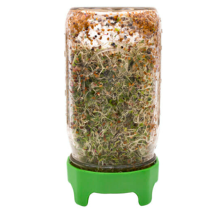 Wide Mouth Sprouting Lid W Stand Rust Proof in use example