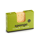 Biodegradable Sponge Large