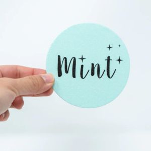 Eco-Sponge Mint Cleaning