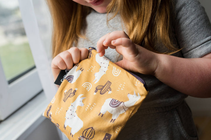 Colibri Canada - Reusable Snack Bag - Assorted and Various Designs
