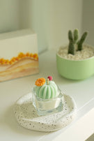 Barrel Cactus Tealight Candles: Green w/ orange