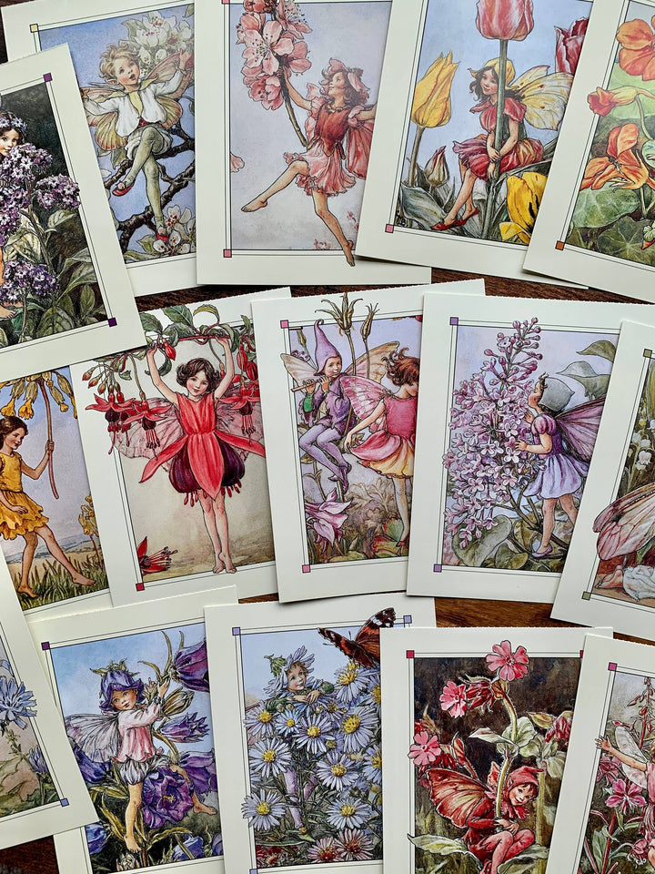 Magnifique Hearts - Flower Fairies Vintage Style Postcard