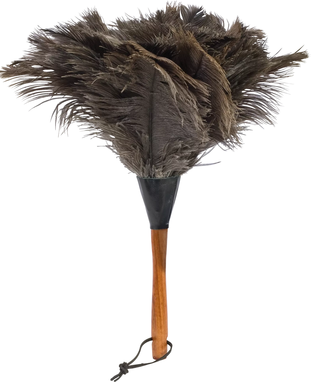 Ostrich Feather Duster