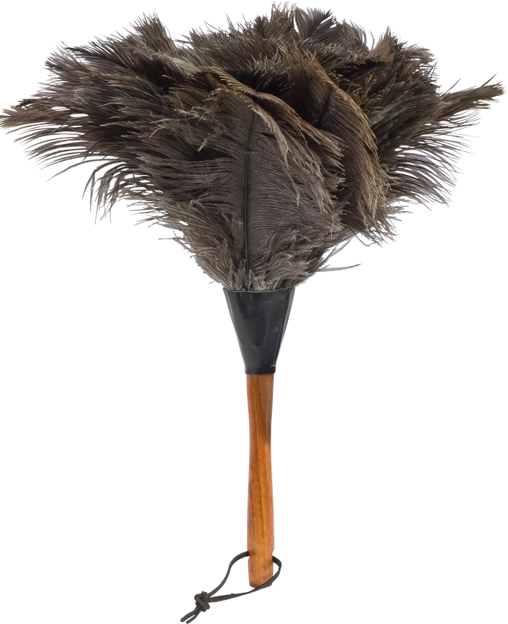 Ostrich Feather Duster