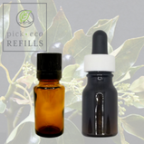 Two Essential oil bottles are in front of a picture of a Camphor plant.