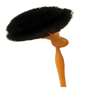Broom with Handle Cobweb