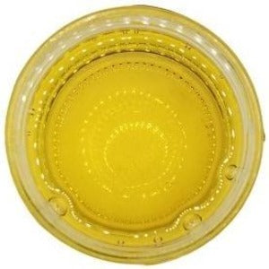 Hazelnut Oil Apothecary Grade