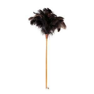 Feather Duster Long