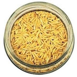 White background with a glass jar filled with Organic Brown Basmati Rice.