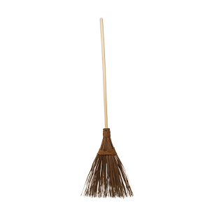 Coconut broom